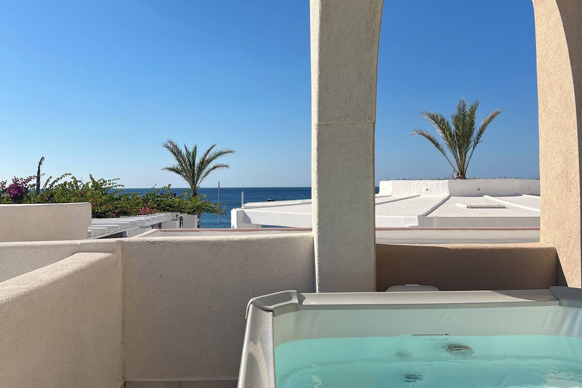 A rooftop pool with a clear view of the ocean, surrounded by white walls and palm trees.