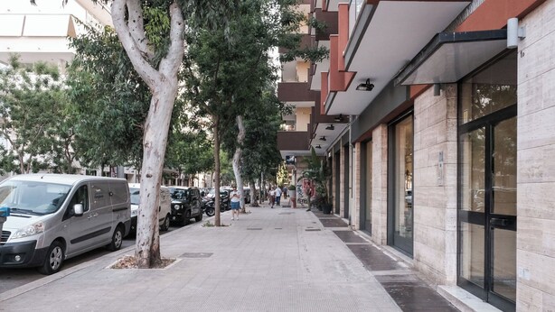 A sidewalk lined with parked vehicles and trees, leading to a building with large windows and a modern design.