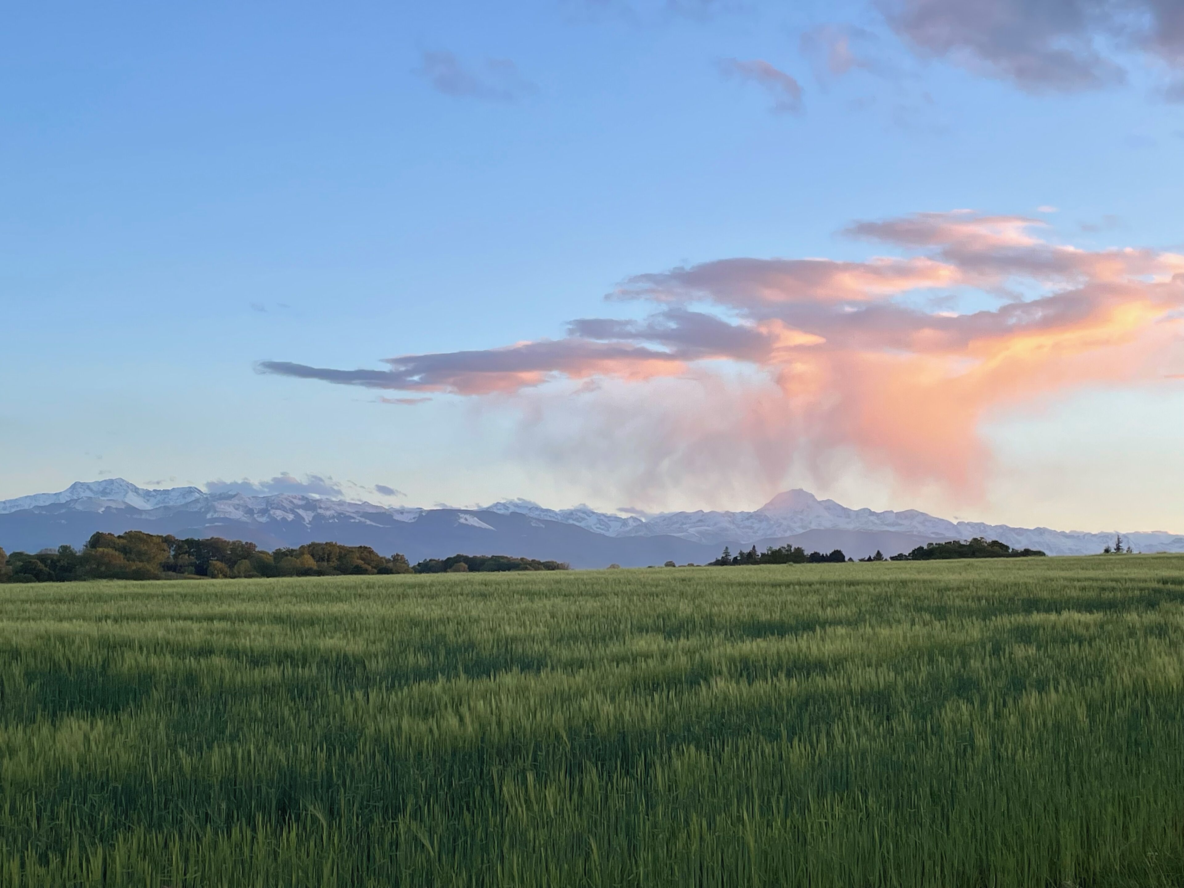 A vast green field with a mountain range in the background.