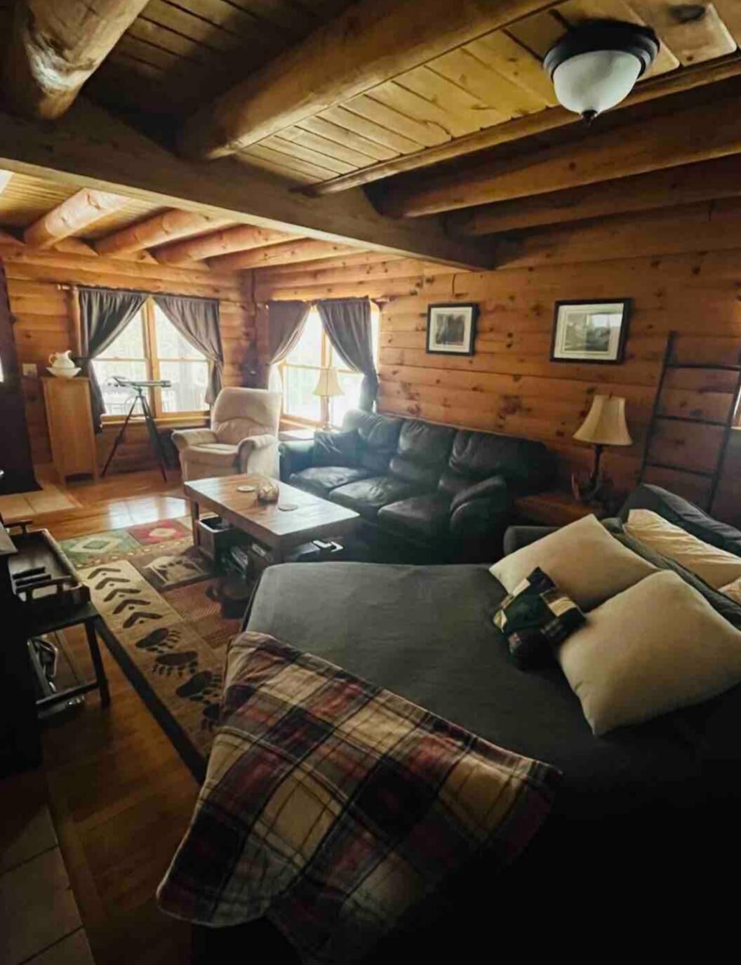 TV connectée, cheminée, lecteur de DVD, livres