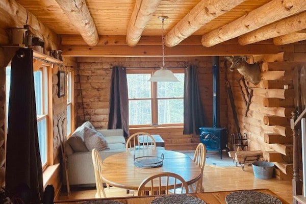 Smart TV, fireplace, DVD player, books