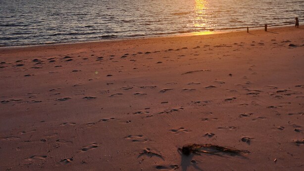 A beach with footprints leading to the water, a sunset in the background, and a clear sky.