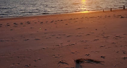 Fisherman's Dream- Delaware Bay Waterfront- Dog and kid friendly- 3br/1b- wifi