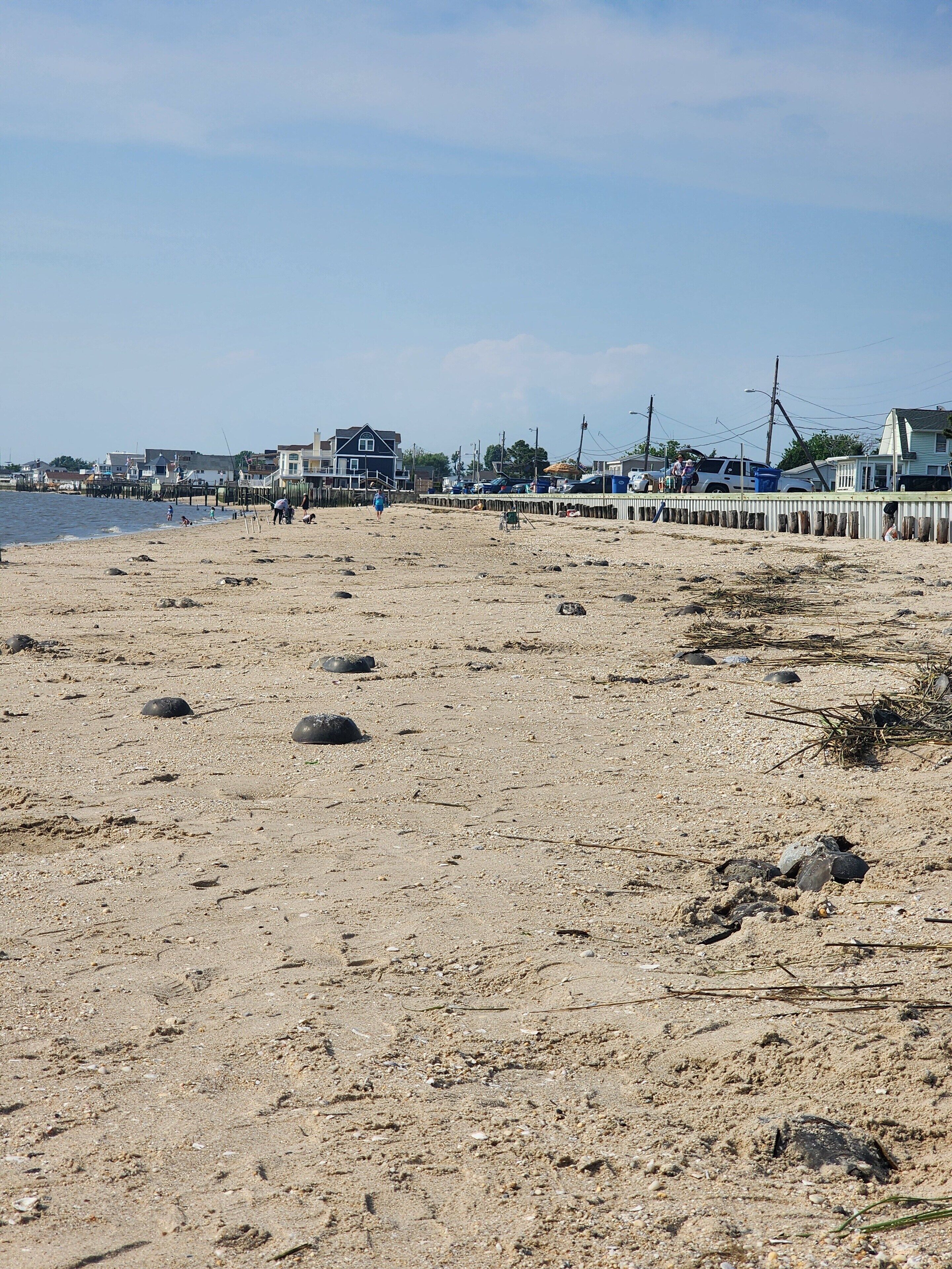 A sandy beach with scattered debris and a pier in the background.