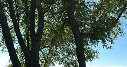 Cozy 2 Bedroom Lakeside Cabin on Lake Manuella