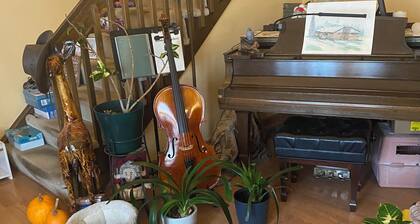 Piano and small dog lovers shared home!
