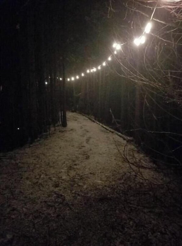 A narrow, dimly lit path flanked by trees, with string lights overhead.