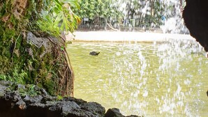 Miscellaneous - El Olivo Retreat in Chiclana (Chiclana de la Frontera)