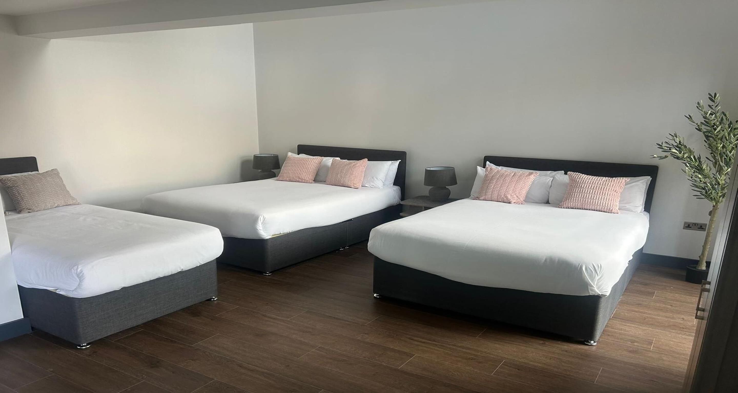 A hotel room with two beds, each with a dark headboard and white bedding. There are bedside tables with lamps, and a potted plant is visible in the corner.