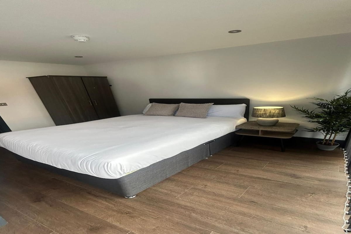 A modern bedroom with a large bed, a bedside table with a lamp, a wardrobe, and a potted plant.