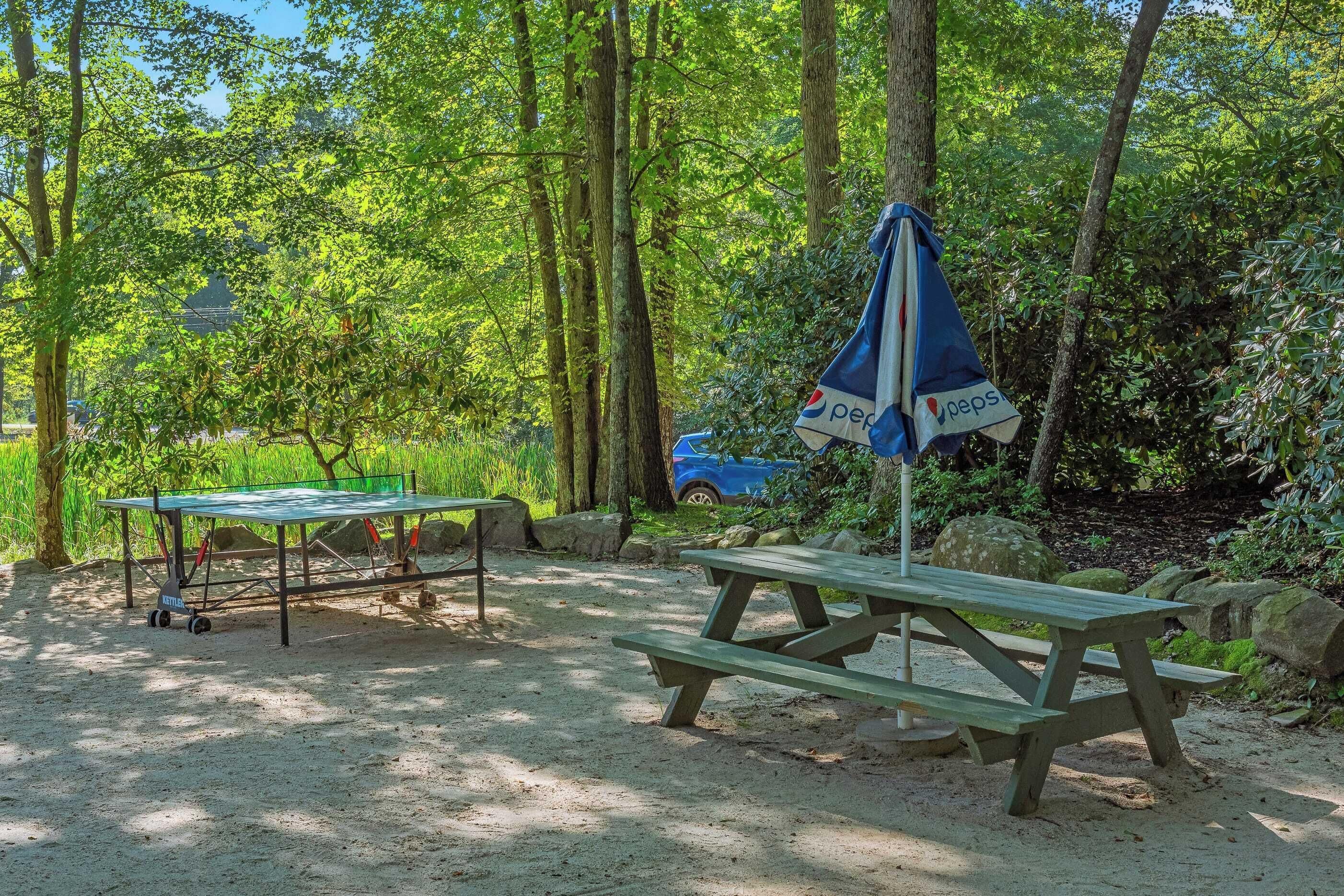 A picnic area with a table and benches, surrounded by trees and rocks.