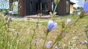 A modern building with a flat roof, large windows, and a patio area with outdoor seating. - Where time is lost in the green and relaxation is at home? (Altefähr)