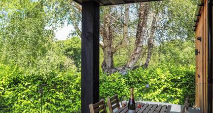 Padarn Lodge - UK47605