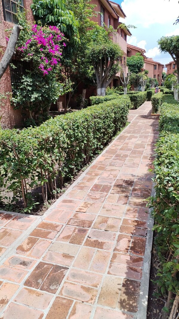 المنطقة المحيطة بالمنشأة