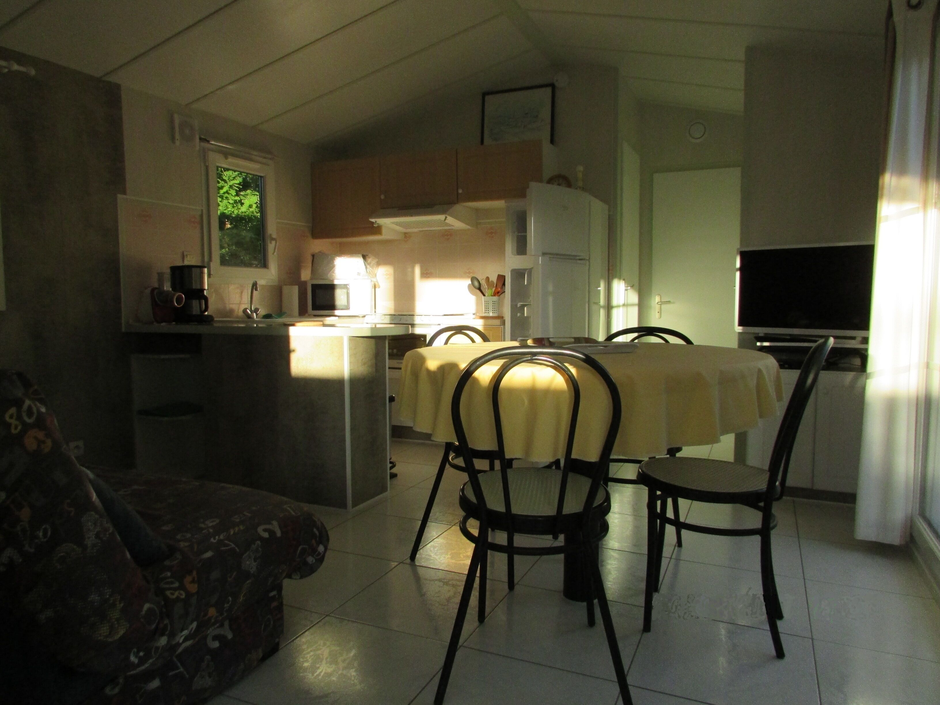 A compact living space with a kitchenette, dining area, and a sofa.