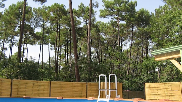 Une piscine dotée d’une terrasse en bois et d’un escalier en métal, entourée de grands pins.