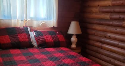 Perfect 1-bedroom cabin with AC on Lochsa River