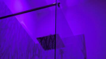 Douche de la salle de bain