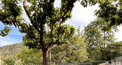 The peaceful village house