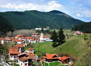 House | Aerial view