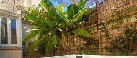 Un bain à remous entouré d’une clôture en bois, avec de grands plants de bananiers en arrière-plan.