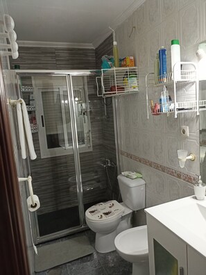 Shower, hair dryer, bidet, towels