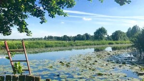 Uno stagno tranquillo con ninfee, circondato da una vegetazione rigogliosa e una scala appoggiata a una recinzione.
