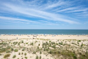 On the beach