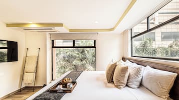 Deluxe Apartment | View from room