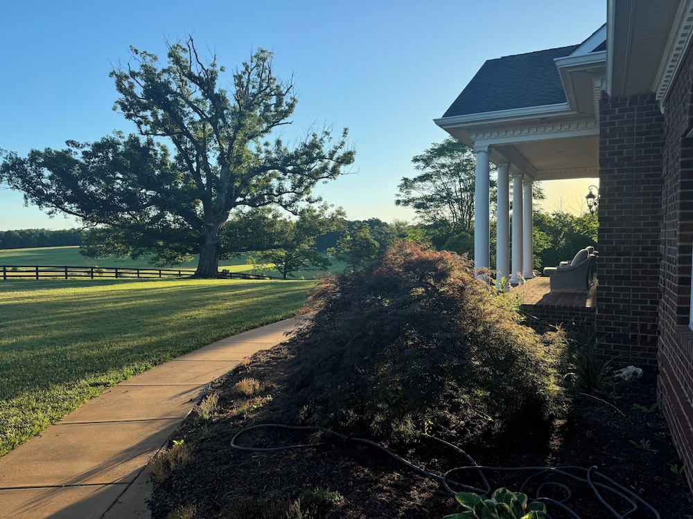 350 Acre Estate just a mile from James Madison's Montpelier. Orange