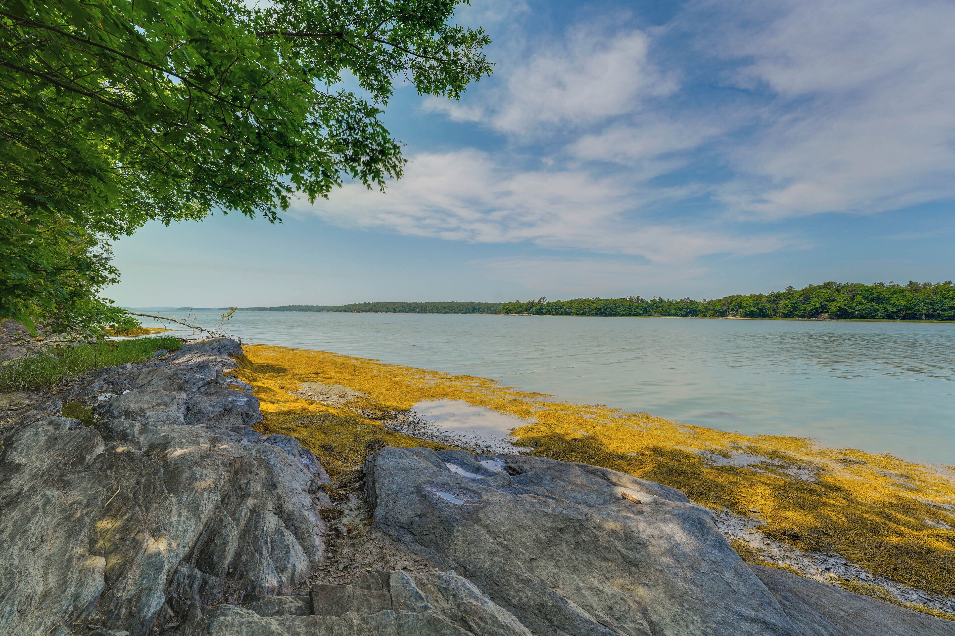 Quiet Freeport Home on Casco Bay w/ Fire Pit