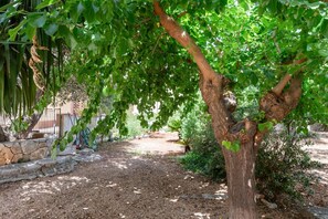 Property grounds - Villa Rosa by Rentbeat (Montalbano di Fasano)