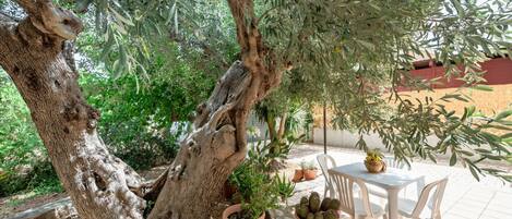 屋外ダイニングエリア