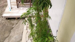 A porch with a table and chairs, surrounded by various potted plants. - Miss. Emily Place (Monrovia)