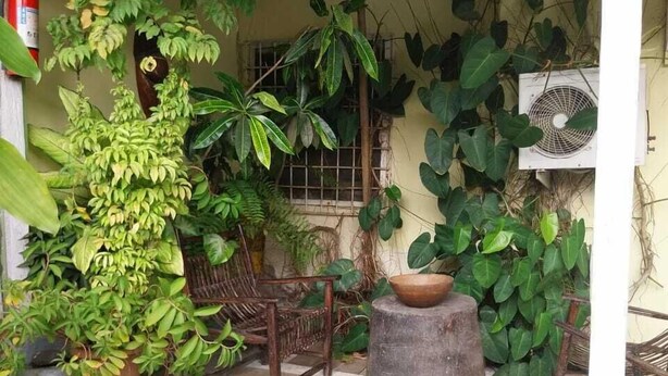 A covered porch with potted plants, a fire extinguisher, and a fan. - Miss. Emily Place (Monrovia)