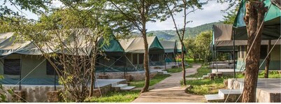 TWIN ROOM 2@Miti-Mingi Eco Camp Masai Mara