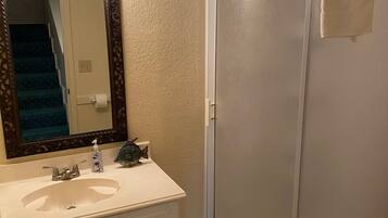 Shower, towels, soap, toilet paper