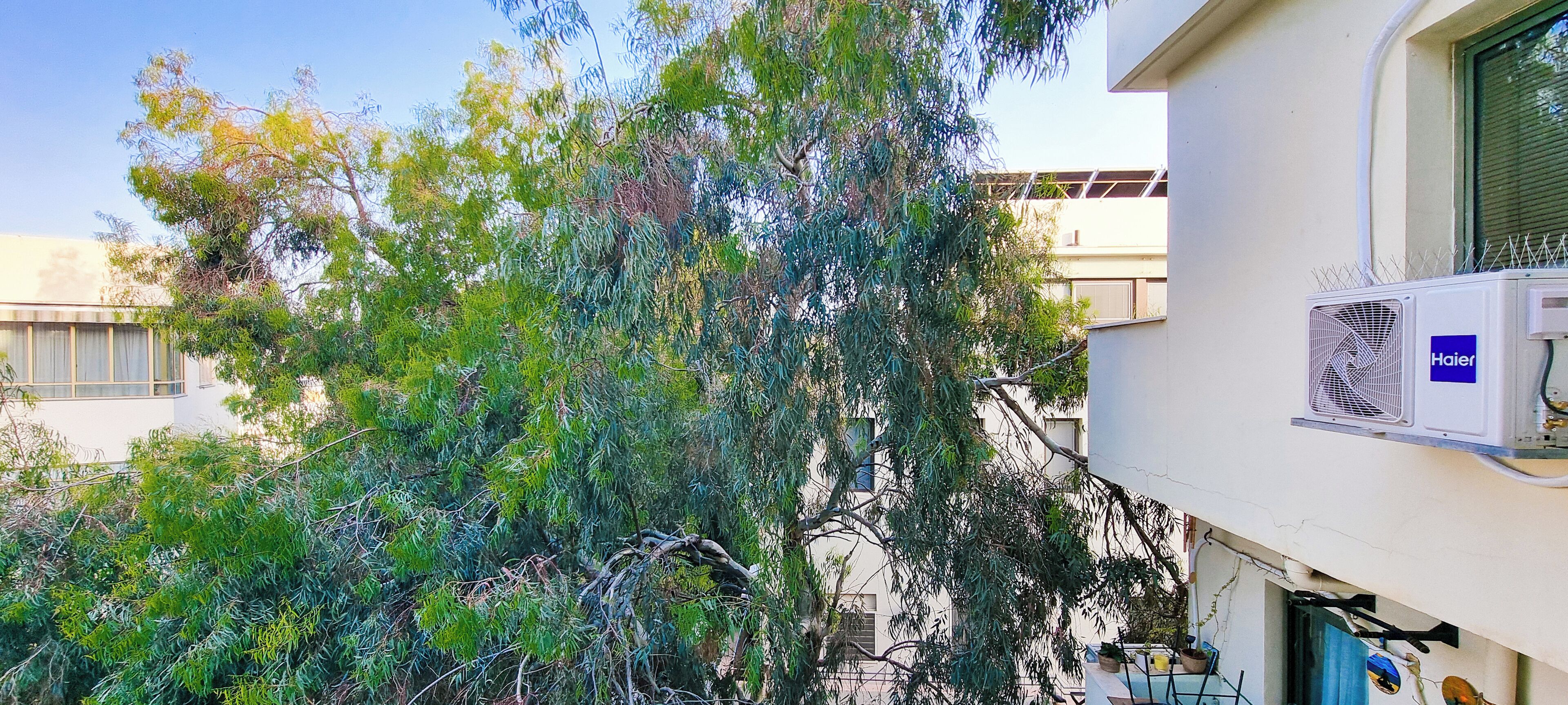 A building with a white exterior, an air conditioning unit on the right, and a tree in front.