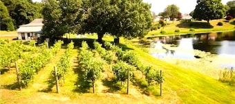 The Guest Cottage At Amos Lake Winery