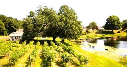 The Cottage Inn Whole House Rental