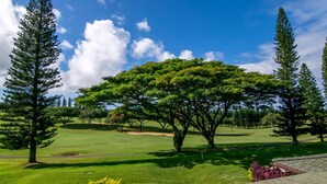 A golf course with a large tree in the center, surrounded by other trees and a clear blue sky.