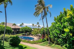 A pool surrounded by lush greenery, palm trees, and a building with a sloped roof.