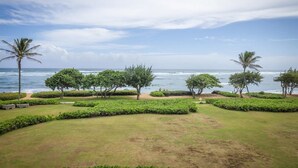 Un jardín ajardinado con palmeras y arbustos, un sendero y vistas al océano.