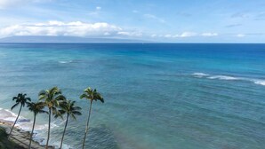 A coastal view with clear blue waters, palm trees, and a distant shoreline.