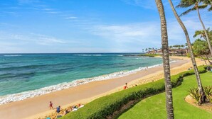 A beach with palm trees, a clear sky, and a view of the ocean.