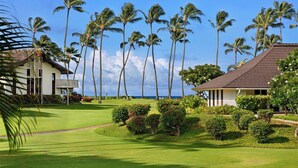 A resort with two-story buildings, a well-maintained lawn, and tall palm trees.