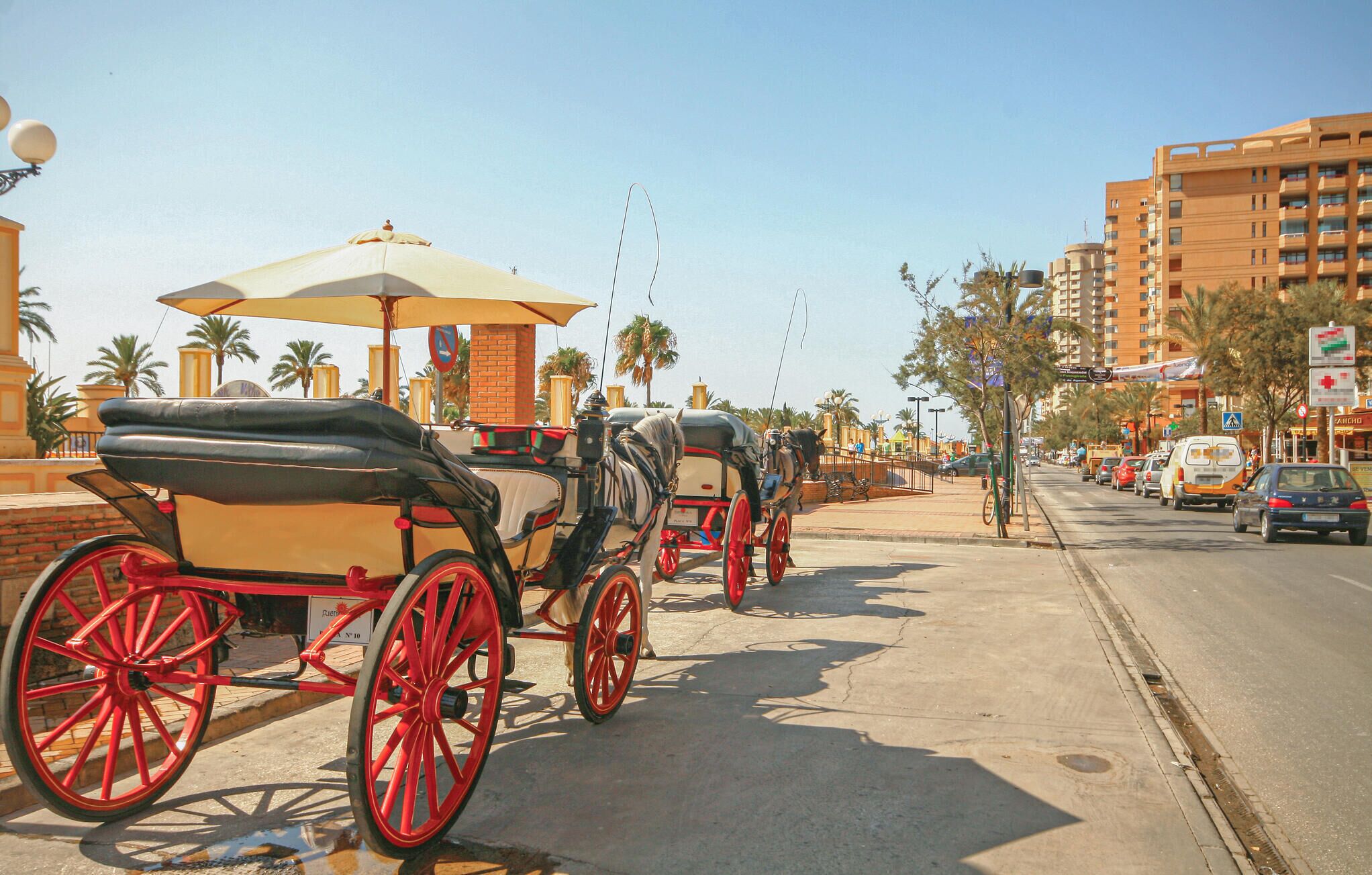 A horse-drawn carriage parked on a city street with buildings and palm trees in the background.