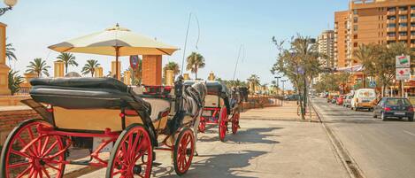 A horse-drawn carriage parked on a city street with buildings and palm trees in the background.