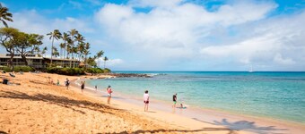 Napili Bay NPG-C11 by KBM