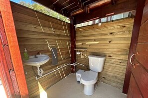 Dutxa, assecador de cabells i xampú 